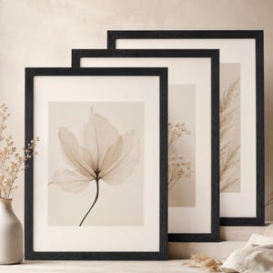 Könnte beinhalten: Drei rechteckige Wandbilder in schwarzen Rahmen mit beigen botanischen Illustrationen. Der erste Druck zeigt ein einzelnes durchscheinendes Blatt, der zweite kleine weiße Blüten und der dritte hohe Stängel von Pampasgras.