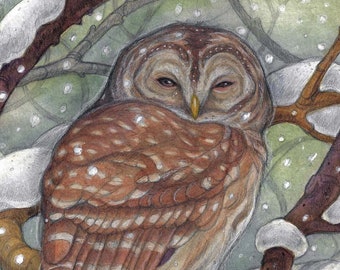 The Whisper Of Winter by Lisa Ferguson....Blank Card...Owl Lover....Owl Art