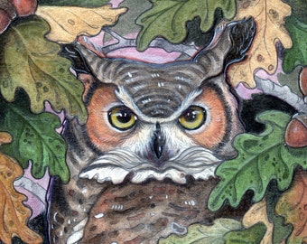 Owl in Oak Tree Art Card by Lisa Ferguson – Canadian Wildlife Illustration (5"x7")
