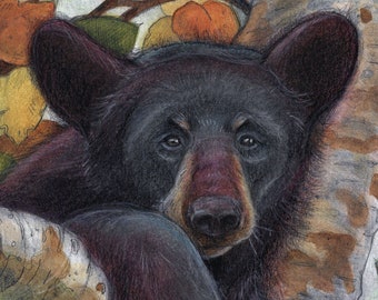 Black Bear Birch Tree Art Card: Canadian Illustration