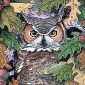 Chouette dans le chêne par Lisa Ferguson... Carte d'art vierge... Art de la chouette... Art des oiseaux... Art de la faune... Art canadien... Canada
