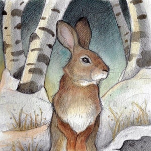 Blank Art Card....Rabbit In The Birches by Lisa Ferguson....Rabbit Art...Wildlife Art....Canada image 1