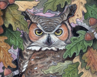 Owl In The Oak Tree by Lisa Ferguson...8x10 Art Print...Owl Art...Owl Lover...Canadian Art
