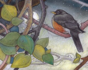 Moonlight Bird Song by Lisa Ferguson....Blank Card....Robin...Bird Lover