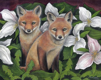 Garden of Trilliums by Lisa Ferguson...8x10 Art Print...Fox Art...Fox Kits..Canada