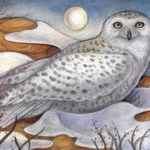 Lune enneigée par Lisa Ferguson... Carte vierge... Harfang des neiges... Art hibou