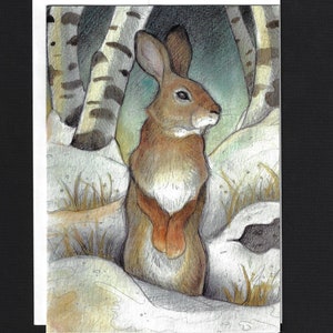Blank Art Card....Rabbit In The Birches by Lisa Ferguson....Rabbit Art...Wildlife Art....Canada immagine 2