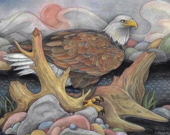 Under The Summer Sun...Blank Greeting Card...Bald Eagle...5x7