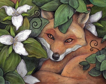 Fox in Trilliums ...Blank Greeting Card