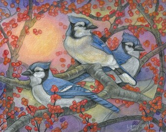 Sunshine and Berries....8x10 Art Print....Blue Jays