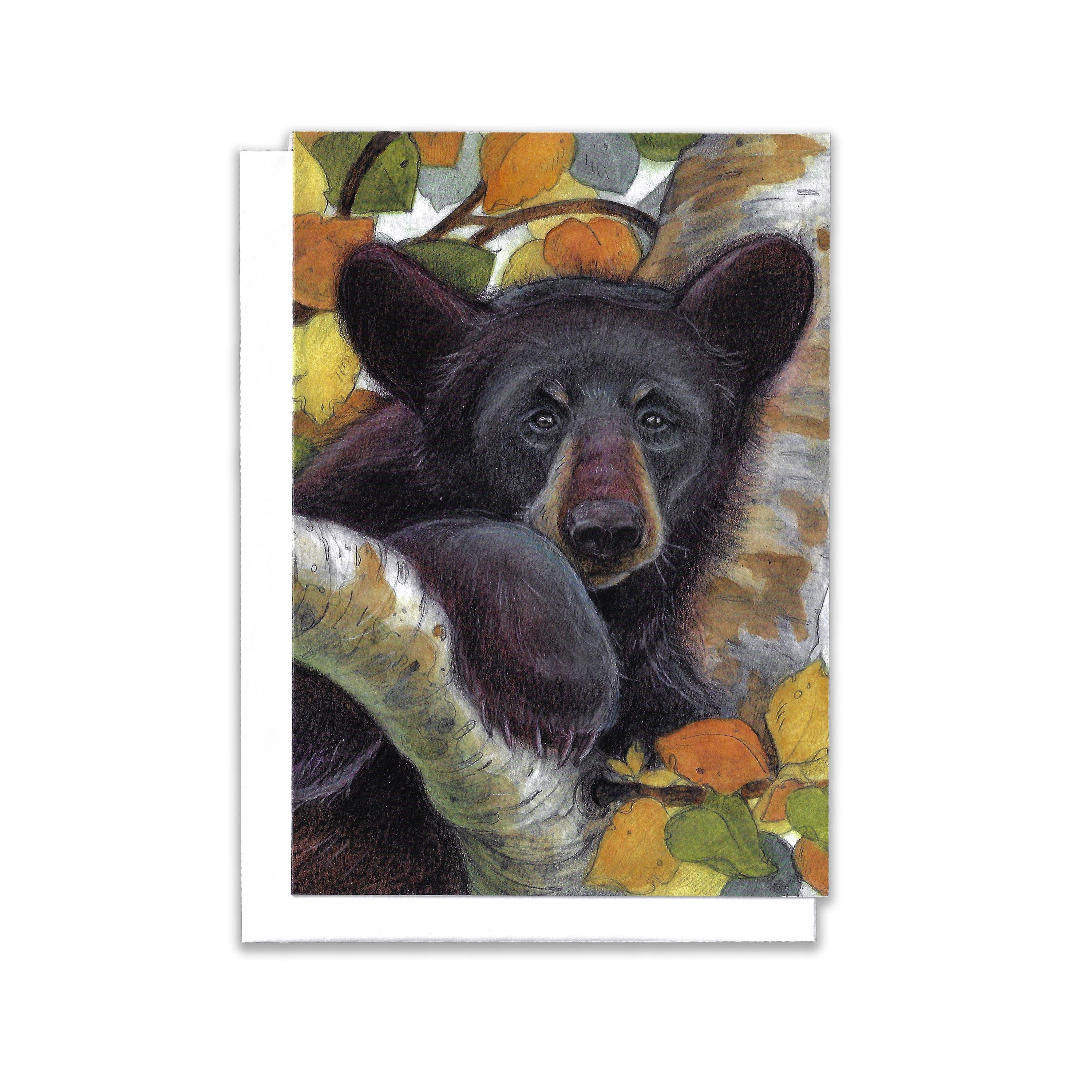 Black Bear in Birch Tree....blank Card....art Card....greeting Card - Etsy