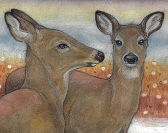 First Snow...Blank Card....Deer Art
