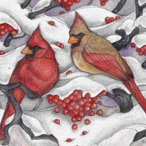 Winter Cardinals by Lisa Ferguson....Blank Art Card......Winter Art...Cardinals...Bird Art...Canadian Art