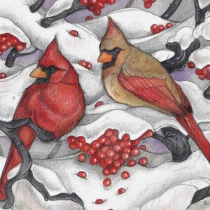 Cardinaux d'hiver par Lisa Ferguson... Carte d'art vierge... Art de l'hiver... Cardinaux... Art d'oiseaux... Art canadien