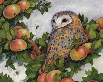 Barn Owl Art Card, Lisa Ferguson Illustration, Owl Lover Gift