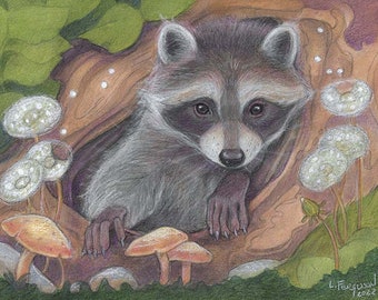 Woodland Home by Lisa Ferguson...8x10 Art Print....Raccoon Art....Animal Print