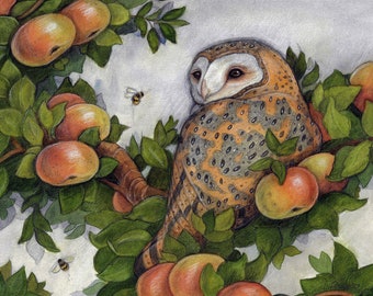 Barn Owl in Tree by Lisa Ferguson...8x10 Art Print...barn owl...Canadian artist