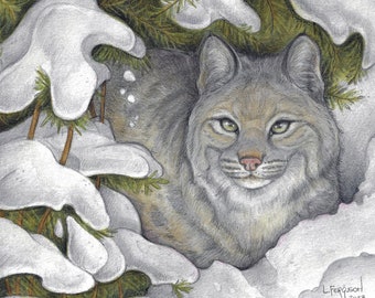 Beneath the branches....Greeting Card....Bobcat