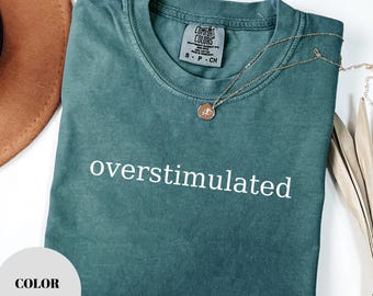 Komfort Farben Überreizt Introvert Shirt: Lustiges Gen Z Tee