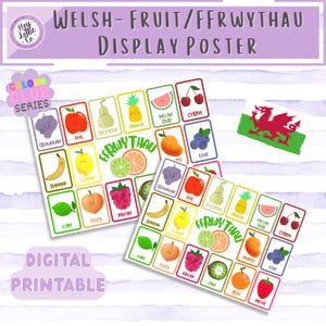 Cartel de frutas galesas / Ffrwythau Cymraeg / Decoración del aula / Ysgol Gynradd / Educación de la primera infancia / Aula bilingüe / Imprimible digital