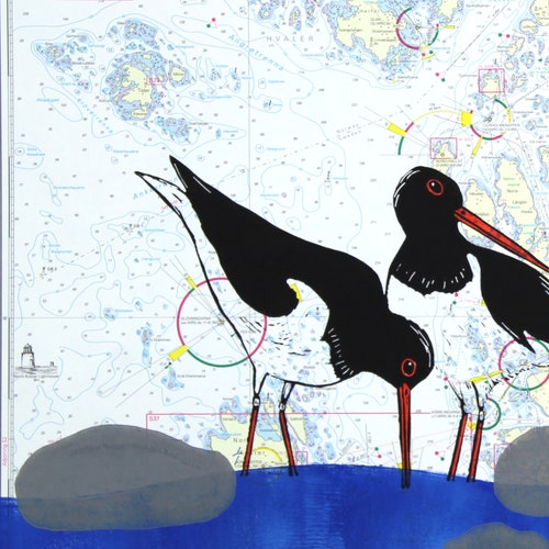 Linocuts, Oystercatchers, handprinted on vintage seachart, black and white, signed and numbered, Mariann shops Johansen-Ellis