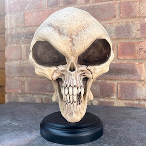 life sized grey alien skull