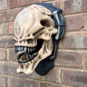 Puede incluir: Decoración de pared de calavera beige y negra con dientes afilados y superficie texturizada. La calavera está montada sobre un respaldo negro con diseño, creando una pieza decorativa de inspiración gótica.
