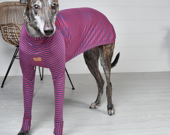 Pink Tribal stripe greyhound pajamas whippets and other sighthounds. cosy made to measure fleece clothing coats and pjs for greyhounds