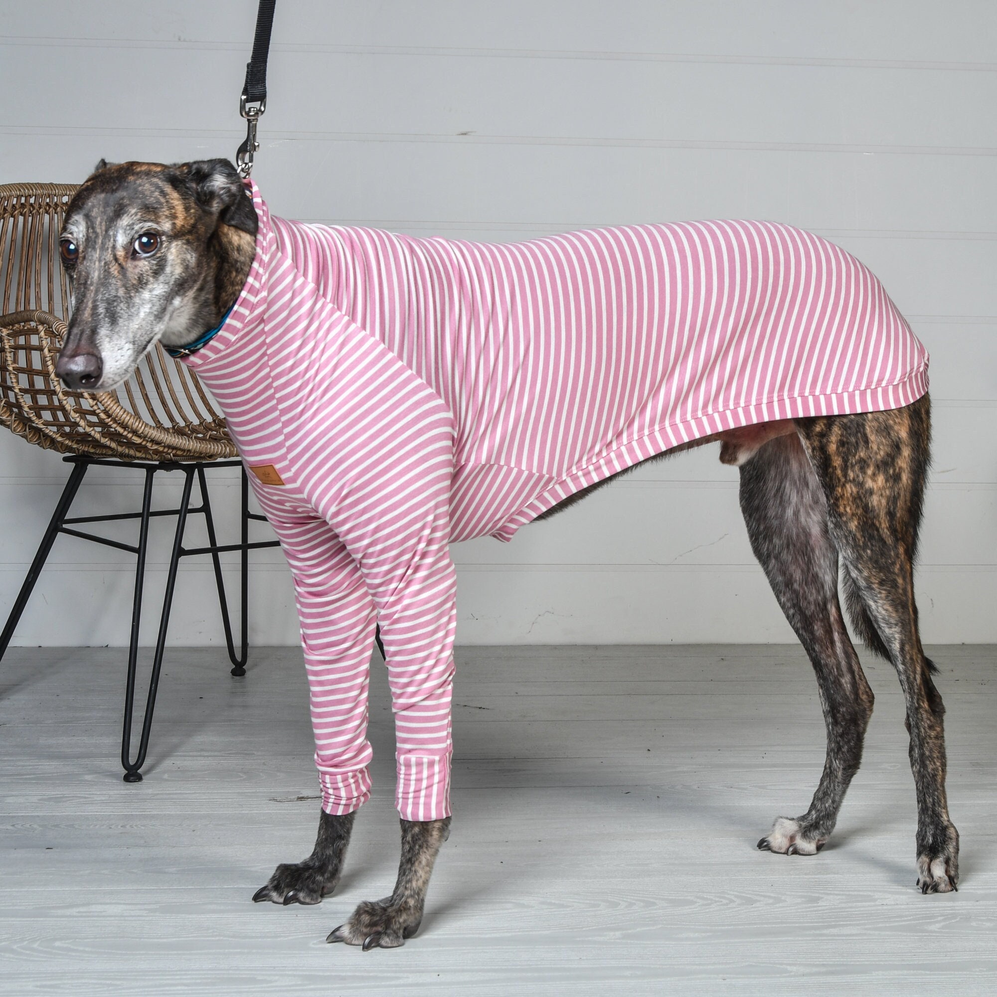 / White Stripe T-shirt Dog Pajamas - Etsy Norway