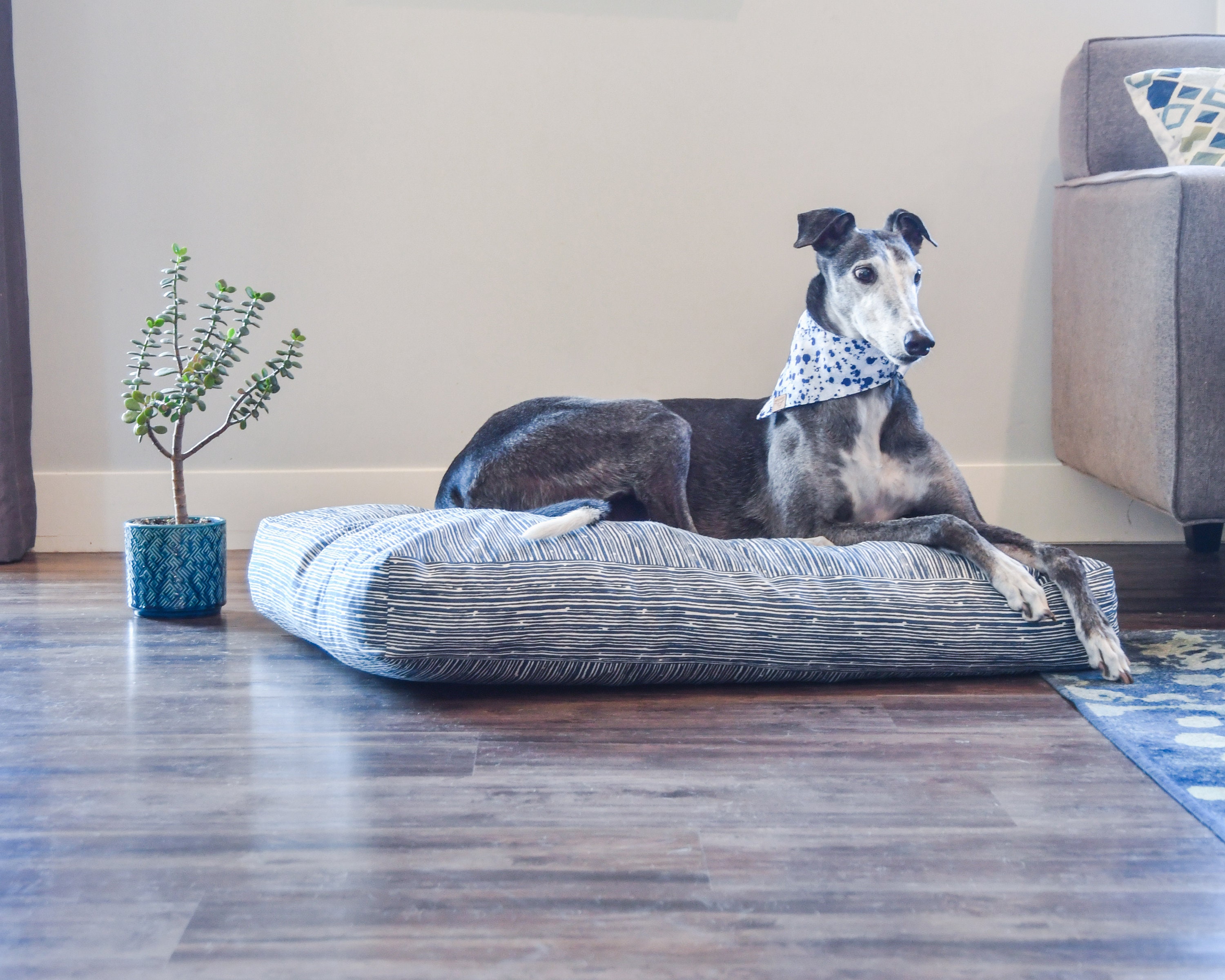 memory foam dog bed sale