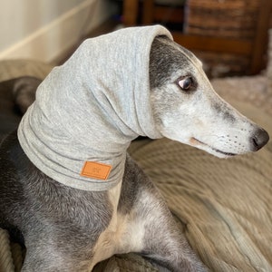 Sweaterknit Snood | Greyhound Snood | Dog Scarf | Greyhound Coat | Snood | Iggy | Greyhound