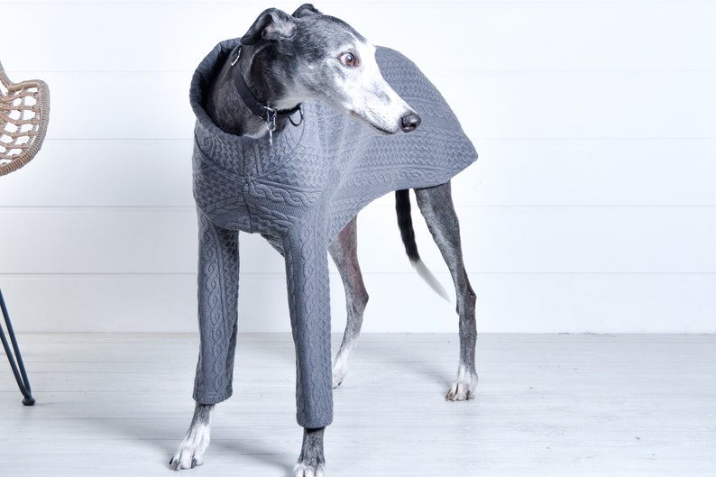 Greyhound Dog Coat Pattern Sizes SMXL Greyhound Pajamas Etsy