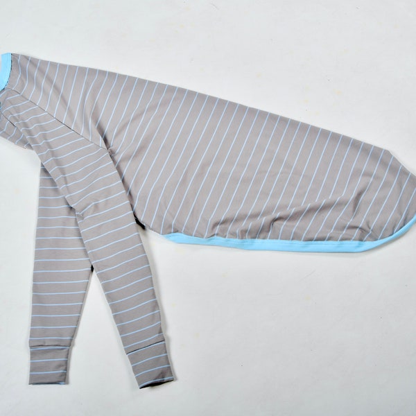 Greyhound Blue Gray Stripe / Sky Blue  T-shirt Pajamas | Dog Pajamas | Greyhound Jammies | Greyhound PJ