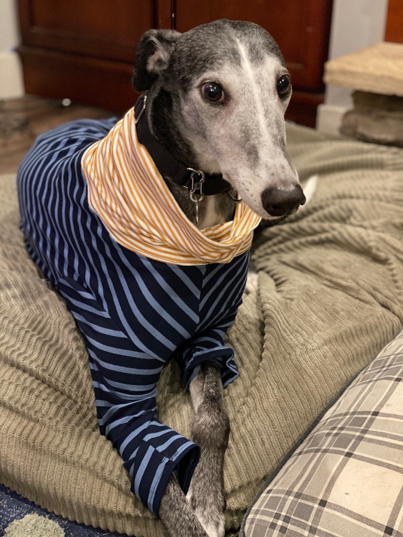 Greyhound Dog Coat Pattern Sizes SMXL Greyhound Pajamas Etsy France