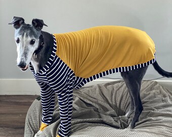 Greyhound tee shirt for dogs Outlet