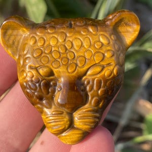 Quartzo olho de tigre natural de 2&quot; com caveira de leopardo de cristal, esculpido à mão, cura por cristal, decoração para casa, presentes de cristal 1 peça