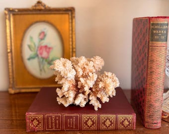 Gran racimo de coral blanco natural vintage, pieza de exhibición de decoración costera de arrecife