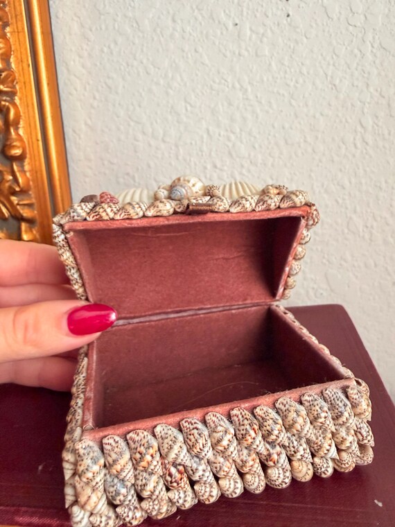 Vintage Seashell Box Decorative Shell Trinket Box… - image 13