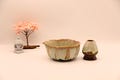 Artisan Handcrafted Matcha Bowl Set 8pcs- Brushed Kiln-Change Yellow - Gift Ideas - Mizube Echo product logo