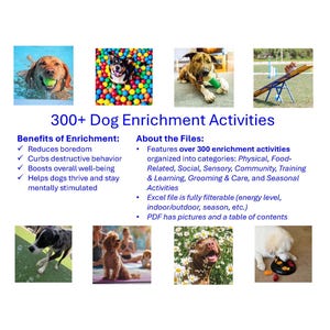 300+ Aktivitäten zur Bereicherung für Hunde: Excel + PDF Bundle (Instant Download)
