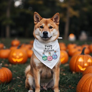 Paws and Potions Halloween Dog Bandana, Pet Costume Accessory