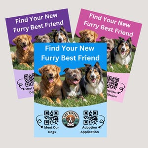 Op de afbeelding: Drie flyers met de tekst "Find Your New Furry Best Friend" en afbeeldingen van honden. De flyers zijn paars, roze en blauw. De blauwe flyer heeft de tekst "Meet Our Dogs" en "Adoption Application".