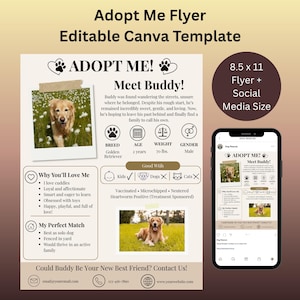 Può includere: Un modello di volantino "Adottami" con il testo "Adottami! Incontra Buddy!" presenta un Golden Retriever. Il volantino include la razza, l'età, il peso (31,75 kg) e il sesso di Buddy. Elenca anche le qualità e la casa ideale di Buddy.