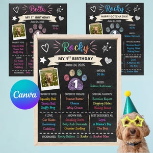 May include: Three chalkboard-style birthday signs with a Golden Retriever theme. Each sign features a photo of the dog, paw prints, and details like weight (50 lbs), favorite toys, and nicknames. The signs are for Bella and Rocky.