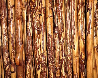 hiking sticks for sale