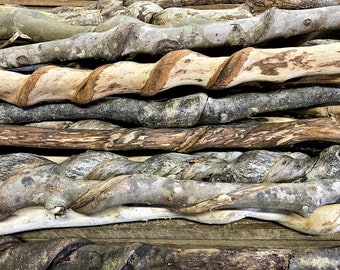 Vine Curled Larger Diameter (2"-3") "Blank" Sticks 40"- 48" (Etsy)