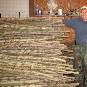 May include: A large stack of natural wooden walking sticks and staffs, many featuring a distinct spiral or twisted vine pattern along the length of the bark. The sticks are arranged horizontally in a pile, showcasing various thicknesses and textures.