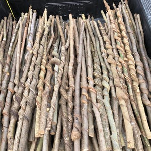 Vine Curled "Blank" Sticks (Etsy)