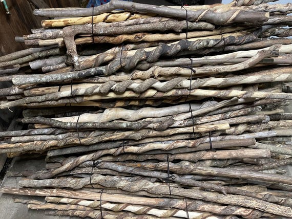 Unfinished Vine-Curled Stick – Kentucky Hiking Staff Wood