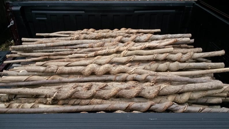 May include: A large collection of natural wooden walking sticks, each featuring a distinct spiral pattern carved into the bark. The sticks are light brown in color, showing varied textures and knots along their length, stacked horizontally in a pile.